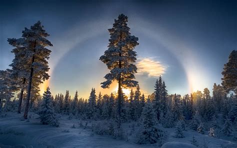 Nature Landscape Sunset Forest Winter Halo Trees Cold Snow Sky Blue Wallpapers Hd