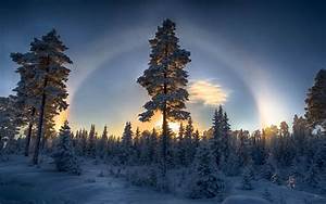 Nature, Landscape, Sunset, Forest, Winter, Halo, Trees