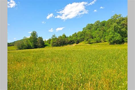 SOLD – For Sale: 178.2± Acres & Farmhouse – Woltz & Associates, Inc.