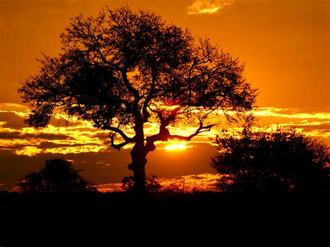 South Africa Landscape Landscape African Sunset Wallpaper Hd Scenery Sunset Beautiful Nature