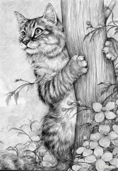Scooby doo.used to watch this every saturday as a kid.loved him. Adorable cat drawing! #animalart #art http://www ...
