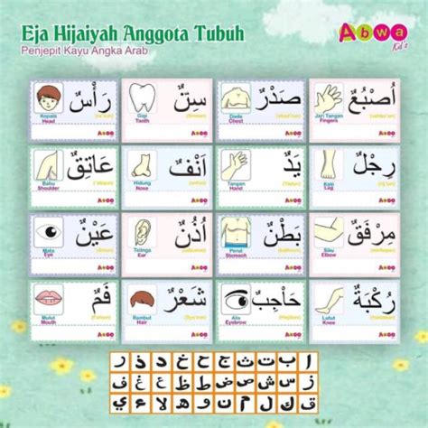 Gambar Anggota Tubuh Dalam Bahasa Arab