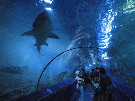 10 Largest Aquariums In The World With Map Touropia