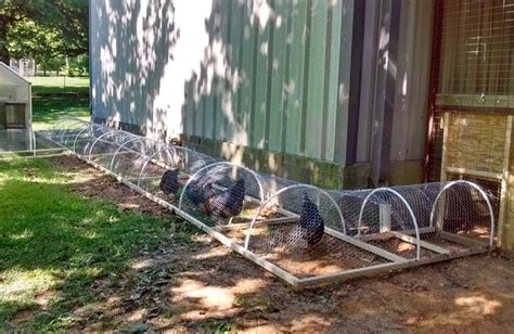 Huhner im garten 10 profi tipps zur richtigen haltung plantura kaltscharraum huhnerstall voliere fur huhner huhnerstall huhner huhnerstall im garten anlegen hinweise zu bau und ausstattung den garten mit einem eigenen huhnerstall aufwerten huhnerhaltung im garten diese gesetze mussen sie kennen. Auslauf für Hühner: Ein selbstgebauter Tunnel | Hühner ...