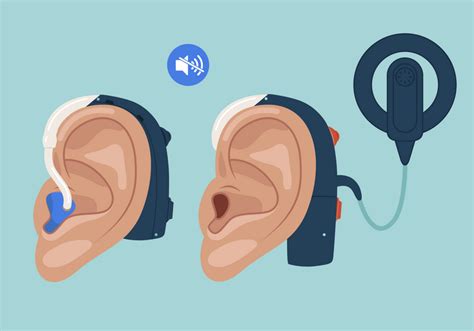 Reversing Hearing Loss Ts Digest The Scientist