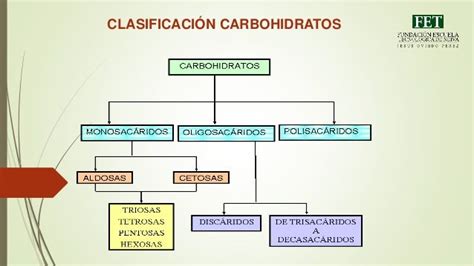 Estructura Quimica De Los Carbohidratos By 012