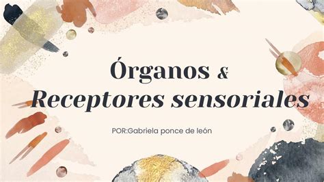 Organos And Teceptores Sensoriales Udocz