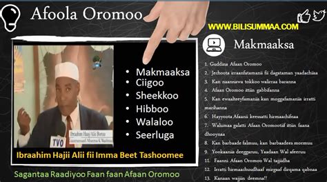 Mammaaksa Afaan Oromoo Fi Gita Afaan Faranjii Oromia