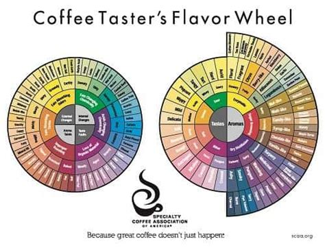 241 Flavorful Words to Describe Coffee (Plus Synonyms, Lingo, Slang) | EnjoyJava