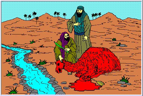 For awhile, salih's people let the camel graze and drink freely, but in their hearts they hated it. Islamic stories(Prophet Saleh )