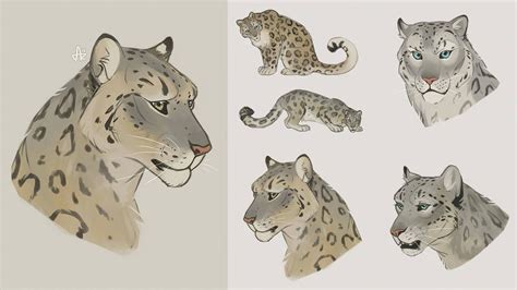 Snow Leopards By Azeare On Deviantart Leopard Art Leopard Sketch