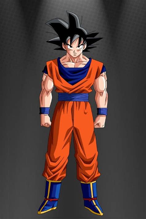 Image Goku Full Body Ultra Dragon Ball Wiki