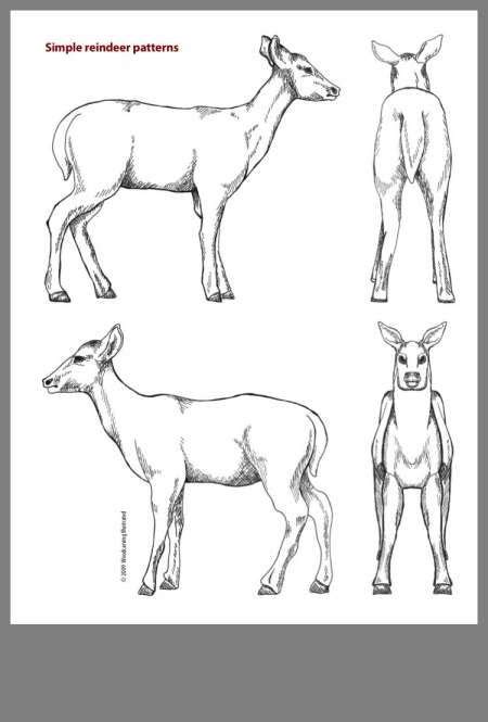 What type of wood should we carve? Animal Wood Carving Templates and Pinjohn Kiely On Carving ...