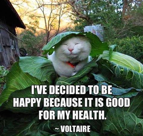 From fixing your posture to smiling, here's how to be happy again with just a few tiny changes. I've decided to be happy because it is g - Voltaire happy ...