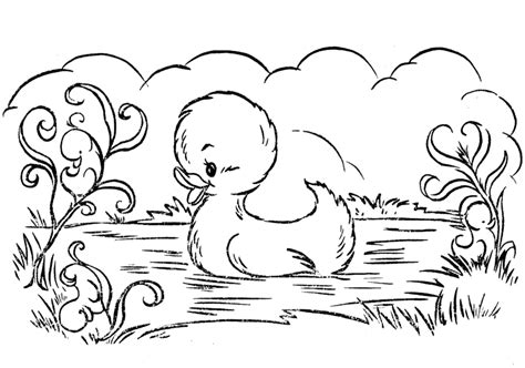 Download Easter Coloring Pages Ducks | eKids Pages - Free Printable ...