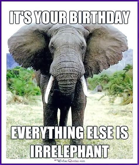 Funny Animal Birthday Meme Everything Else Is Irrelephant Happy