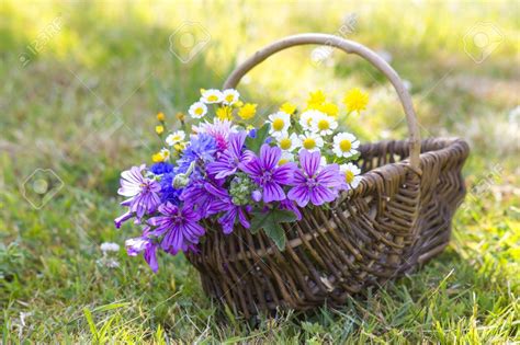 Wildflowers In A Basket Stock Photo 44963981 Spring Time Wild