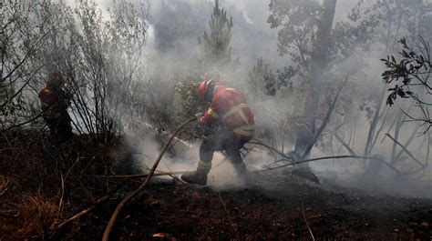 Estudo do risco sismico e de tsunamis do algarve; El incendio del Algarve avanza por una zona de gran valor ...