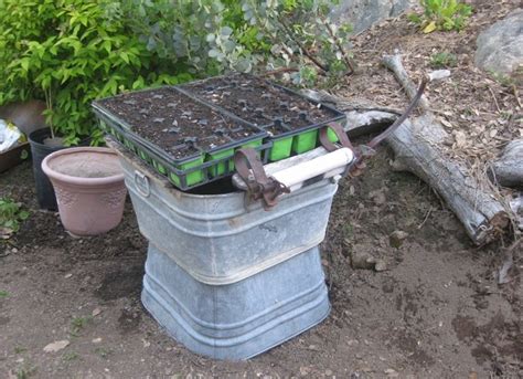 During All This Was Found A Home For My Seedling Trays Possibly