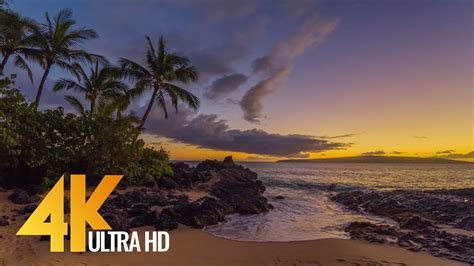 4k Maui Island 3 Hour Tropical Island Relaxation Video Part 2 Youtube
