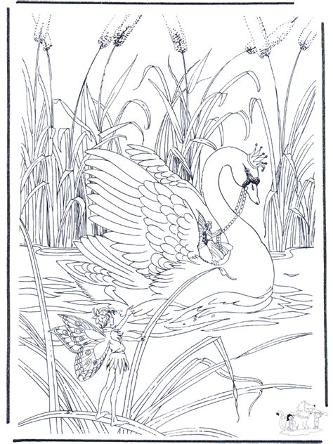 Swan Swans Coloring Page Coloring Home