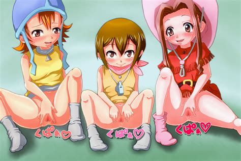 Tachikawa Mimi Takenouchi Sora Yagami Hikari Digimon Digimon Adventure Translated 3girls