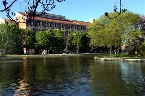 Anadolu üniversitesi kütüphane ve dokümantasyon dairesi başkanlığı. Kampüs Genel | Anadolu Üniversitesi