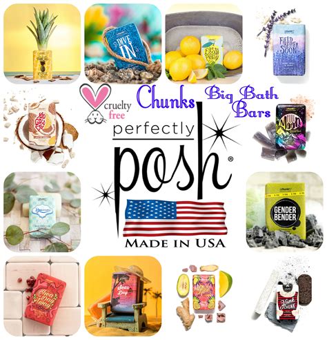 Shop Posh Products Posh Products Perfectly Posh Best Cleaning Products