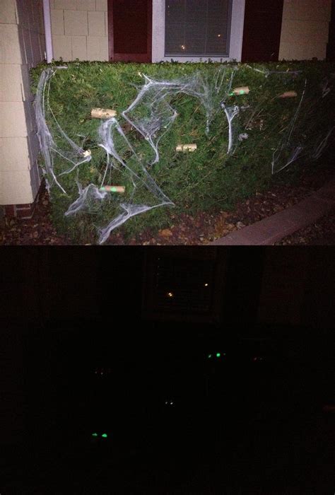 Eyes In The Bushes Put Glow Sticks In Tp Rolls Halloween Is Coming