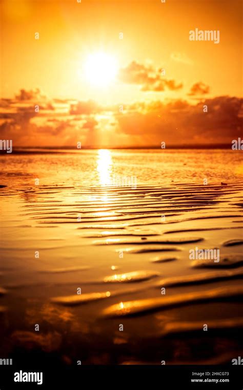 Golden Sun Rays Hi Res Stock Photography And Images Alamy