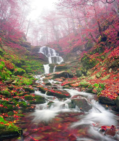 Waterfall In The Autumn Stock Photo Image Of Leaf Background 46408178