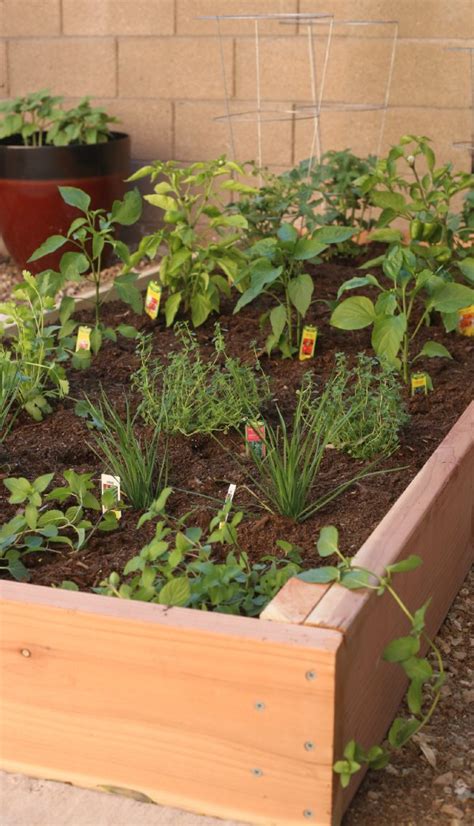 Walmart.com has been visited by 1m+ users in the past month Simple DIY Raised-Bed Garden Project