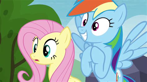 Image Fluttershy And Rainbow Dash Hopeful S4e22png My Little Pony
