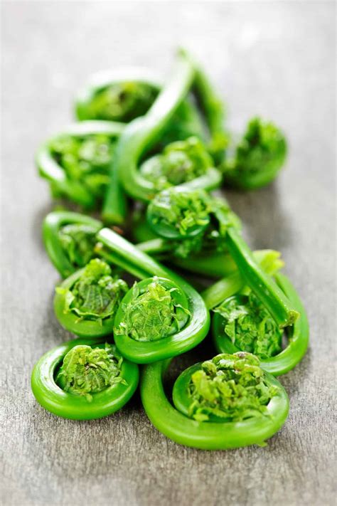 What Are Fiddleheads And When Are They In Season