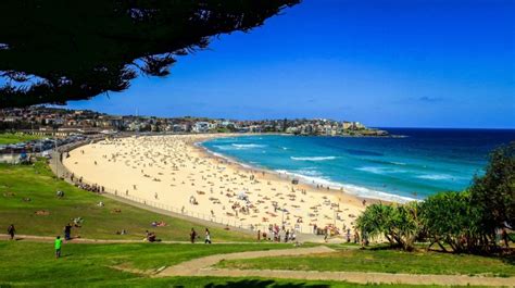 16 best beaches in australia bookmundi