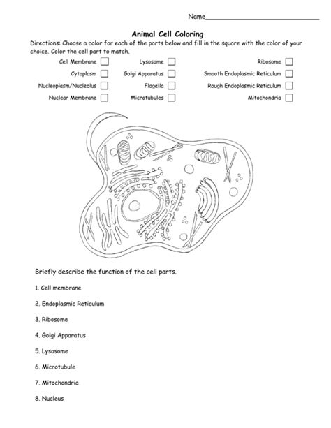 We did not find results for: Animal Cell Coloring - Pittsfield Public Schools