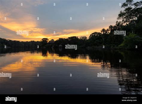 Amazon Rainforest At Sunset Garzacocha Lagoon Yasuni National Park