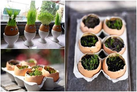 12 Cool Small Herb Gardens That Wont Take Much Space