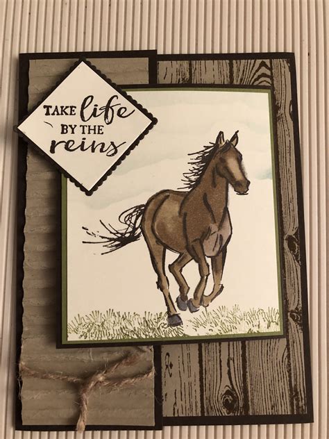 Let It Ride Horse Cards Stampin Up Cards Cards