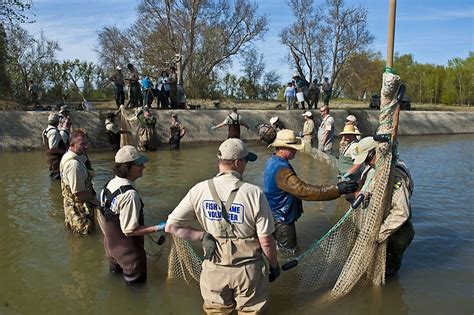 Ebay.de has been visited by 100k+ users in the past month Fish and Game seeks wildlife management volunteers