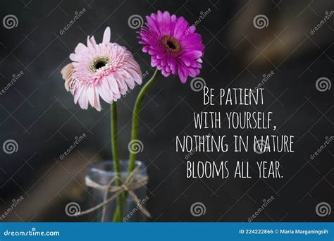 Inspirational Quote Be Patient With Yourself Nothing In Nature