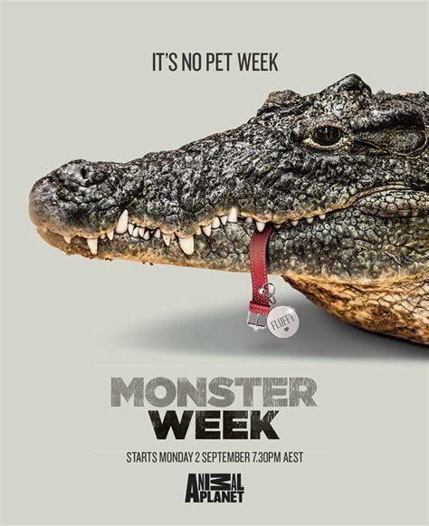 Animal Planet Monster Week Fluffy Ads Of The World™ Animal