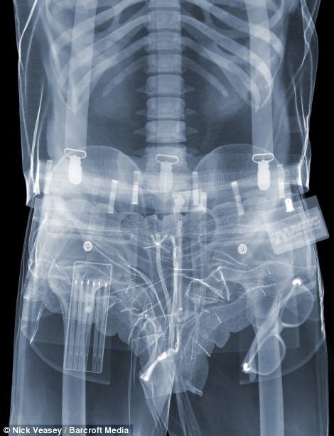 Xray vision glasses and x ray vision cameras that are available to see through clothes and other objects in 2021. Artist Nick Veasey's X-ray work captures what we look like underneath our clothes | Daily Mail ...