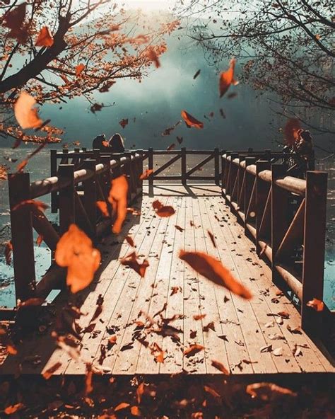 Pin By Jiji On Bel Automne Fall Pictures Autumn Landscape Autumn Beauty