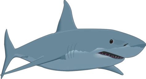 Best Shark Clip Art 9220