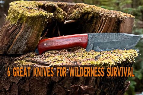 6 Great Knives For Wilderness Survival Preppers Will