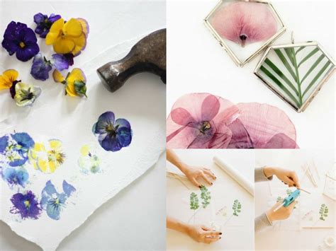 Materials required for above pressed flowers card : 11 DIY Pressed Flower Projects Perfect for Spring - She ...