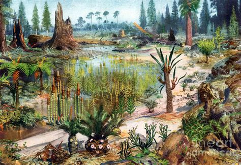 Mesozoic Landscape Photograph By Science Source Pixels