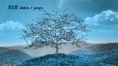Growing fruit trees are somewhat different to other plants, in that there is an intermediate growing stage where the seed must be grown into a sapling before being planted into a cleared fruit. Growing Tree Timelapse - YouTube