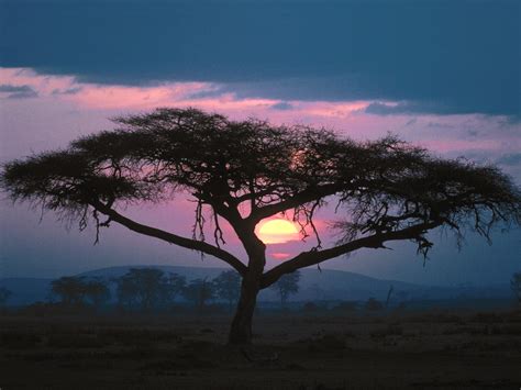 High Definition Wallpaper Club African Sunset Wallpapers